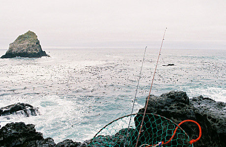 [From atop the middle rock of the prior image thre is mostly water except for the dry rock. Two fishing poles and a net sit atop the rock at the bottom of the image.]